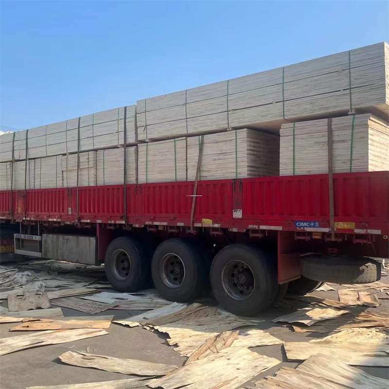 山东聊城阳谷县至和田货运专线一站式物流服务，助力商业发展